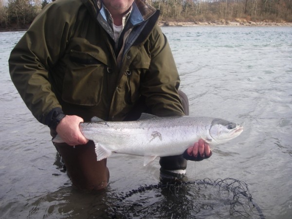 Sauk Skagit Steel (23).jpg Sauk Skagit Steel (23).jpg